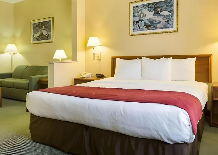 Comfort Suites La Porte - Baytown