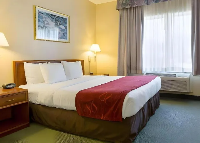 Comfort Suites La Porte - Baytown