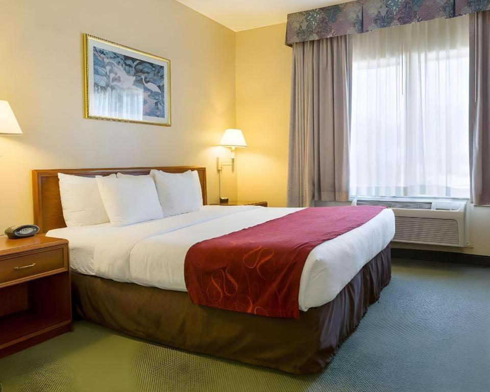 Hotel Comfort 2*