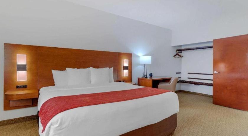 Comfort La Porte