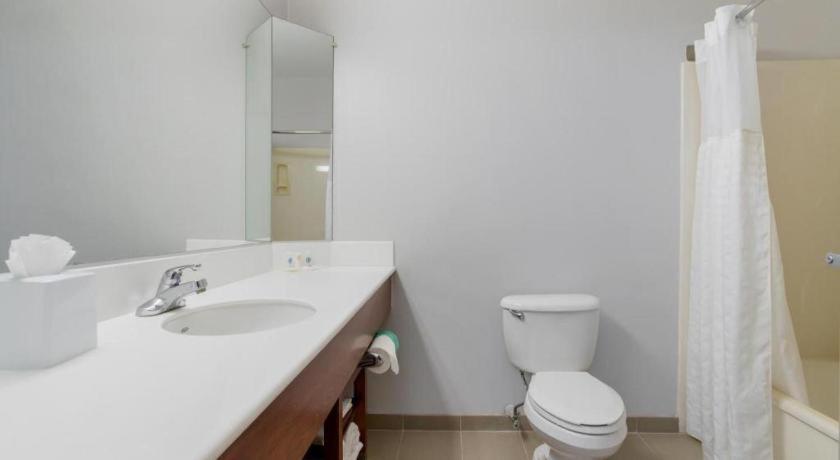 Comfort Hotel